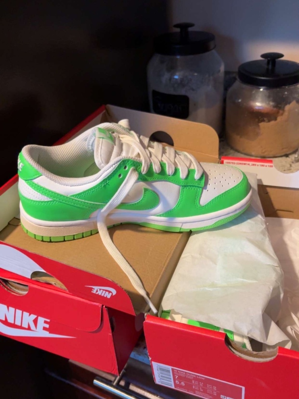 Brand new Nike dunks